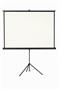 Projection screen, portable, 1:1, 160x160 cm, VICTORIA VISUAL